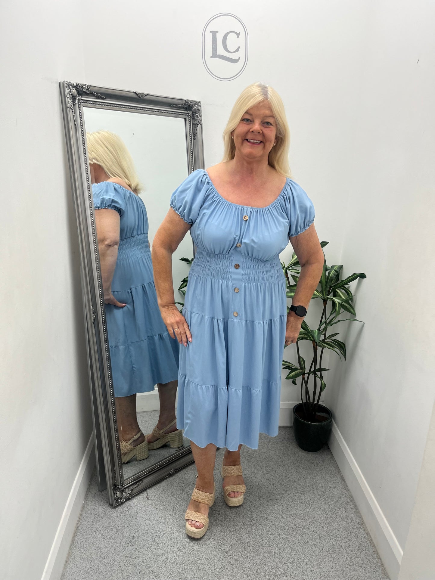 Bardot Denim Dress in 2 colours