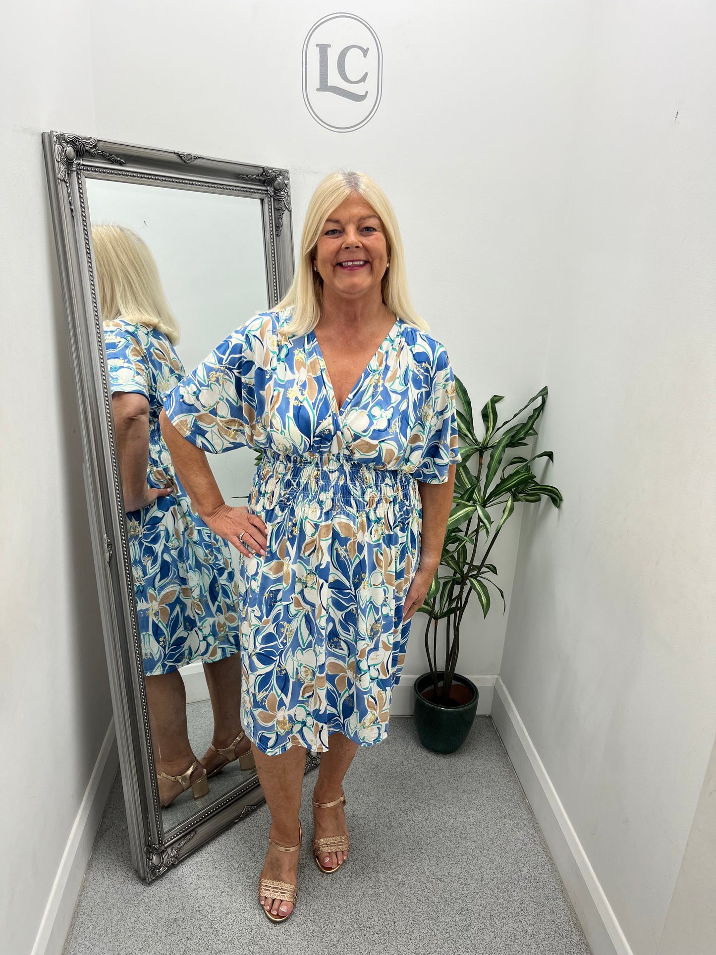 Lauren Dress in 4 colours