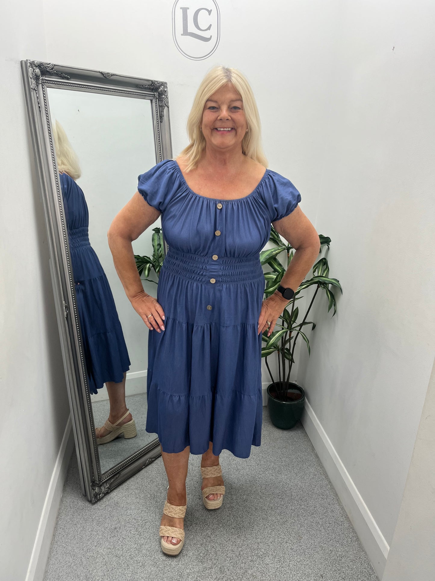 Bardot Denim Dress in 2 colours