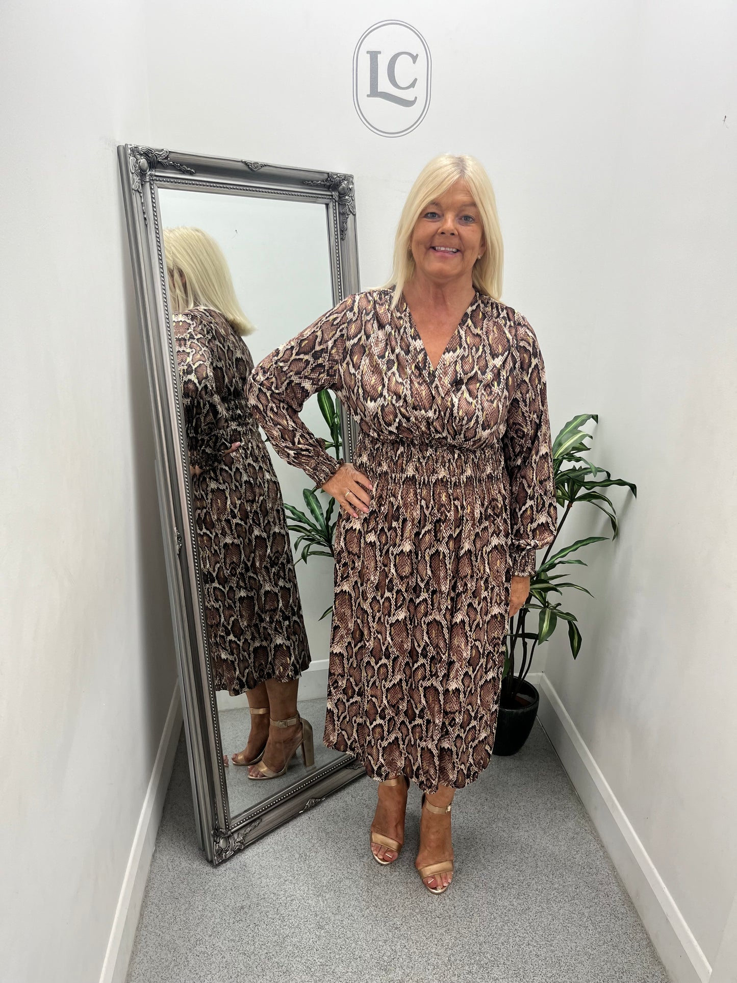Snake Print Dress 2 colours