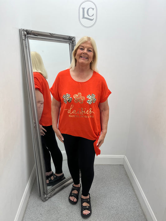 Daisy Animal Print Top in 11 colours