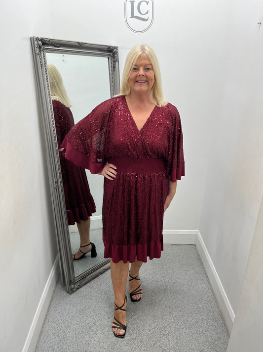 Zoe Sequin Dress in 4 colours